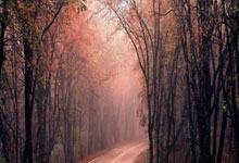 探索数据领域的秘密:数组的访问、操作与遍历