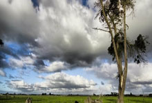 探索数据领域的秘密：数组的访问、操作与遍历